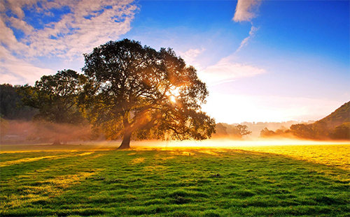 LC系列除塵器是可以讓氣體得到凈化的設(shè)備