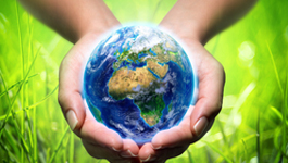 【揚(yáng)州綠之源環(huán)?！炕钚蕴吭谟袡C(jī)廢氣處理中的應(yīng)用